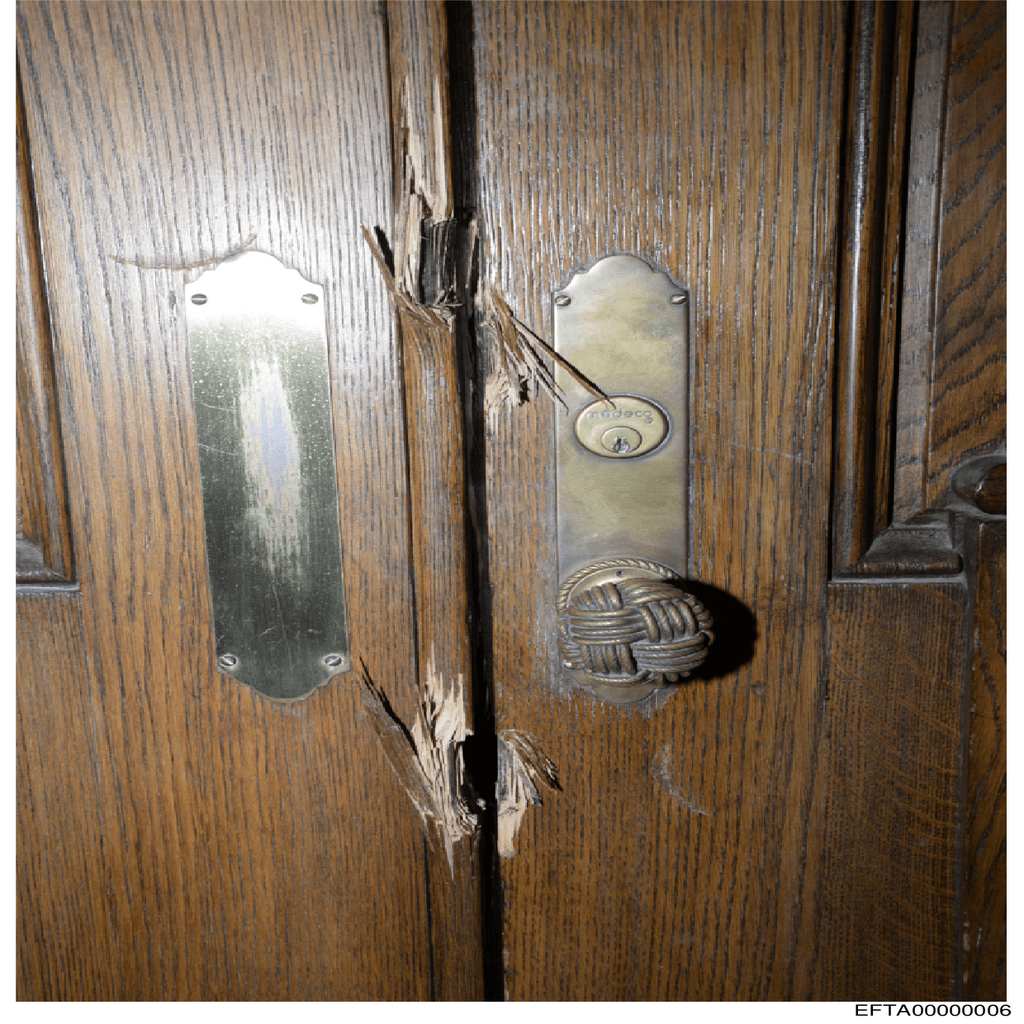 Epstein File EFTA00000006.pdf 2026