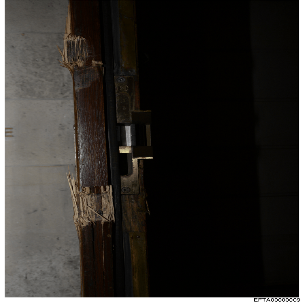 Epstein File EFTA00000009.pdf 2026