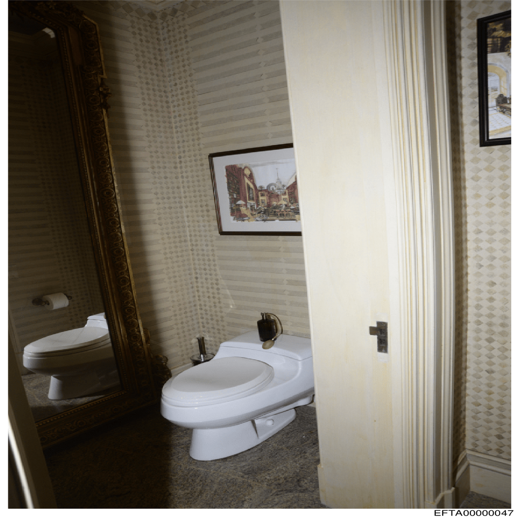 Epstein File EFTA00000047.pdf 2026