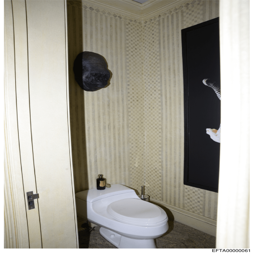 Epstein File EFTA00000061.pdf 2026