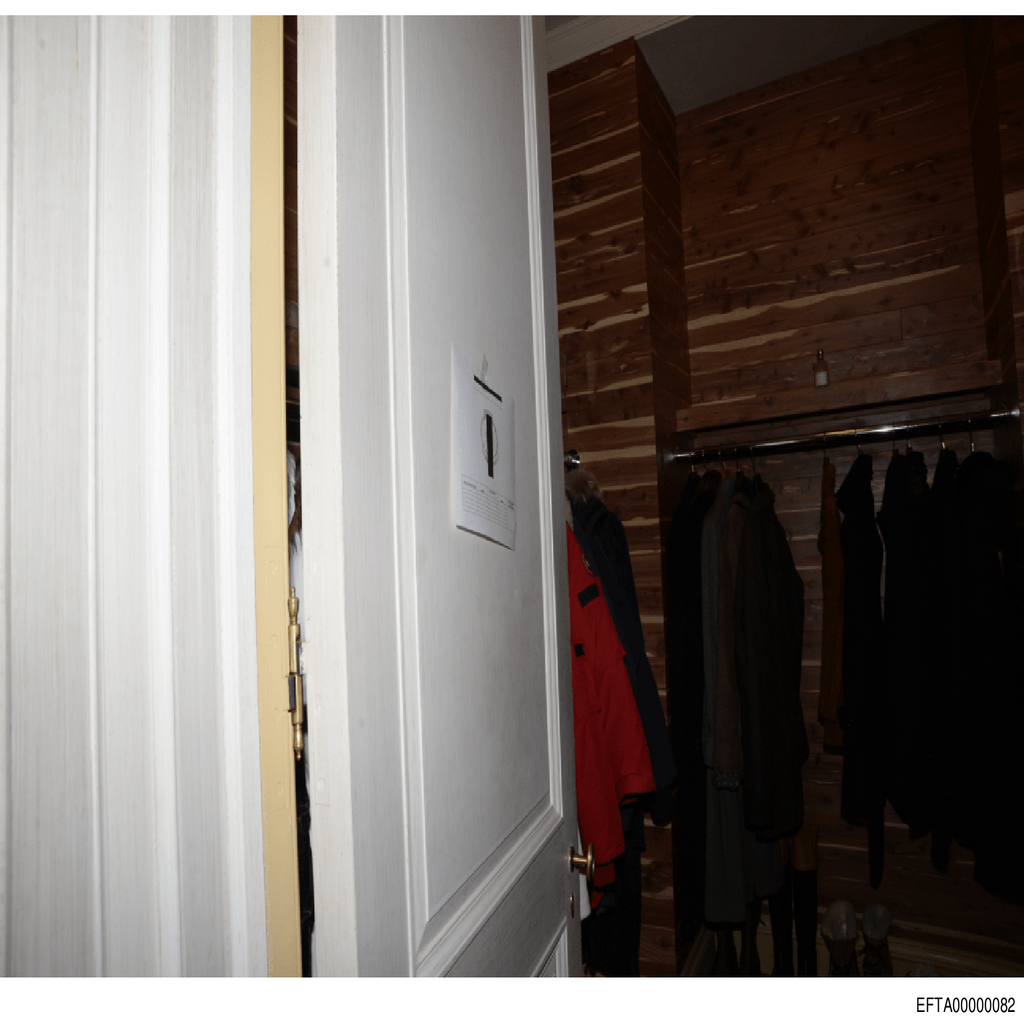 Epstein File EFTA00000082.pdf 2026