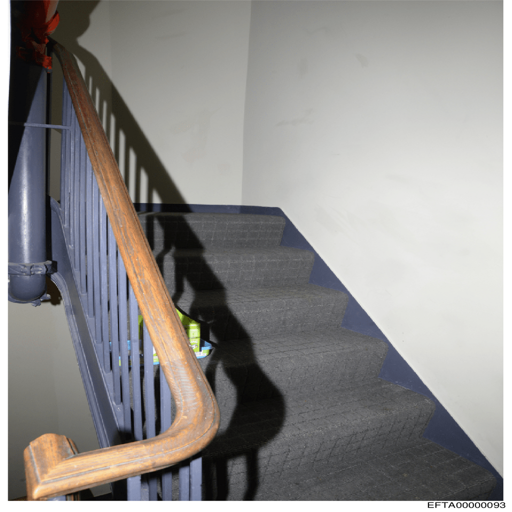 Epstein File EFTA00000093.pdf 2026