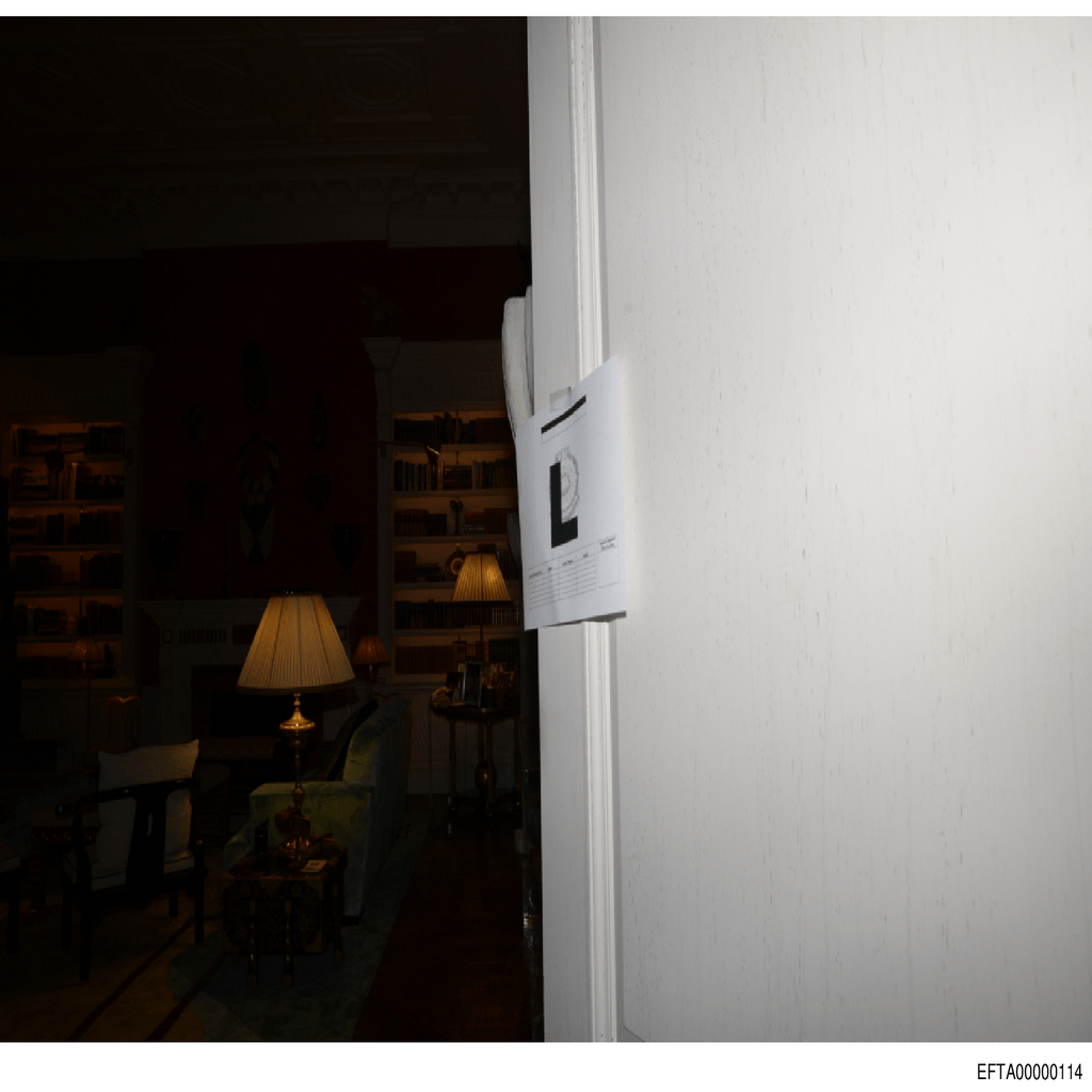 Epstein File EFTA00000114.pdf 2026