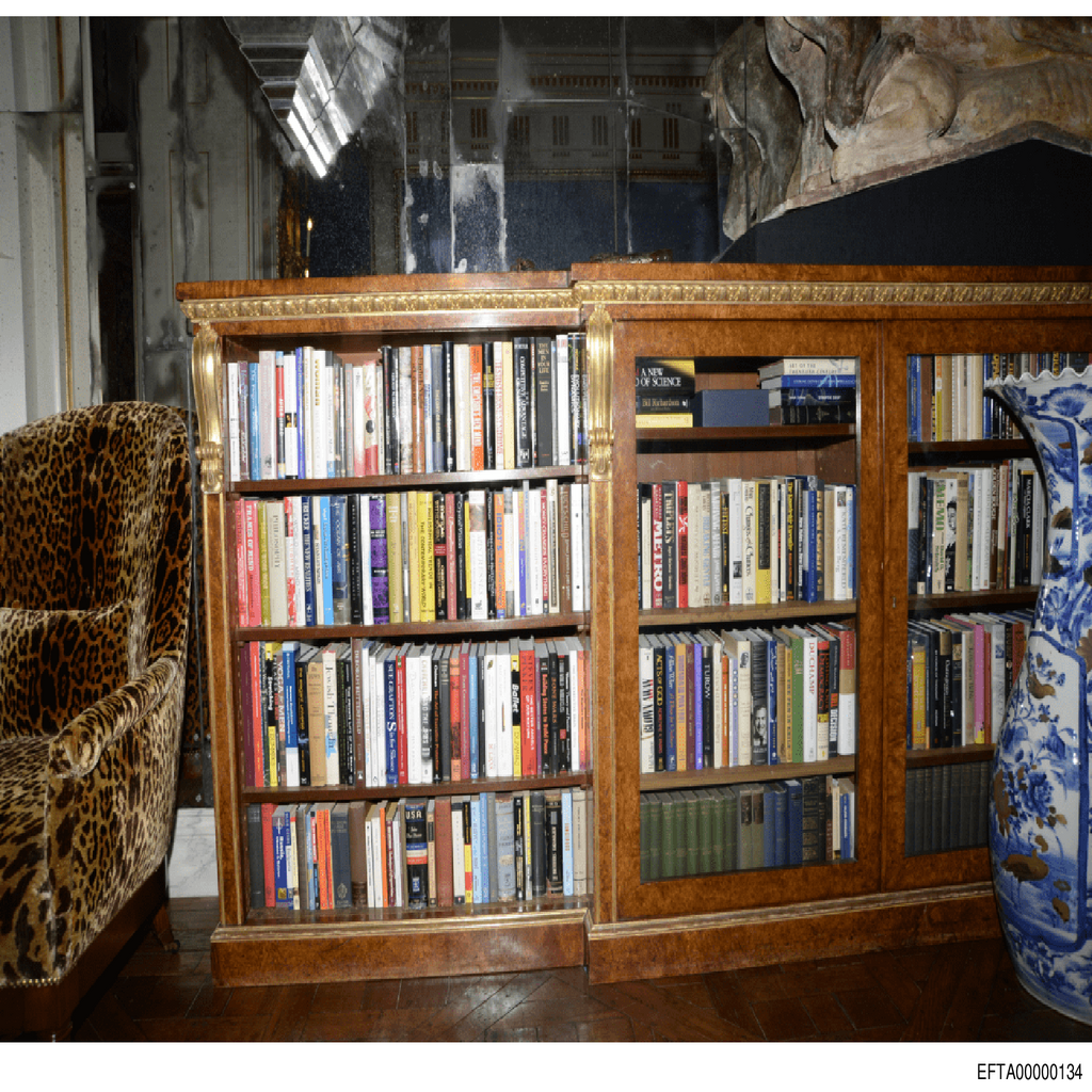 Epstein File EFTA00000134.pdf 2026