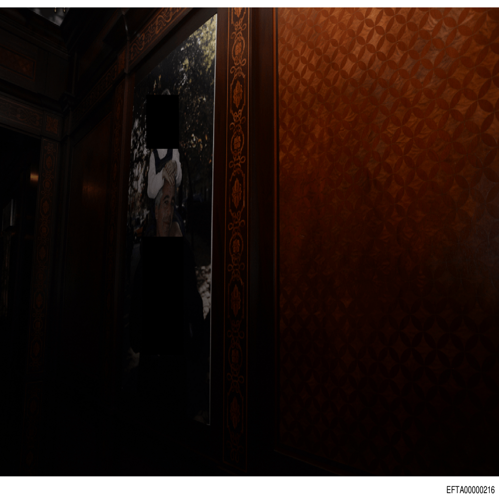 Epstein File EFTA00000216.pdf 2026