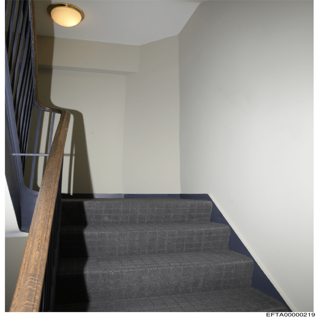 Epstein File EFTA00000219.pdf 2026