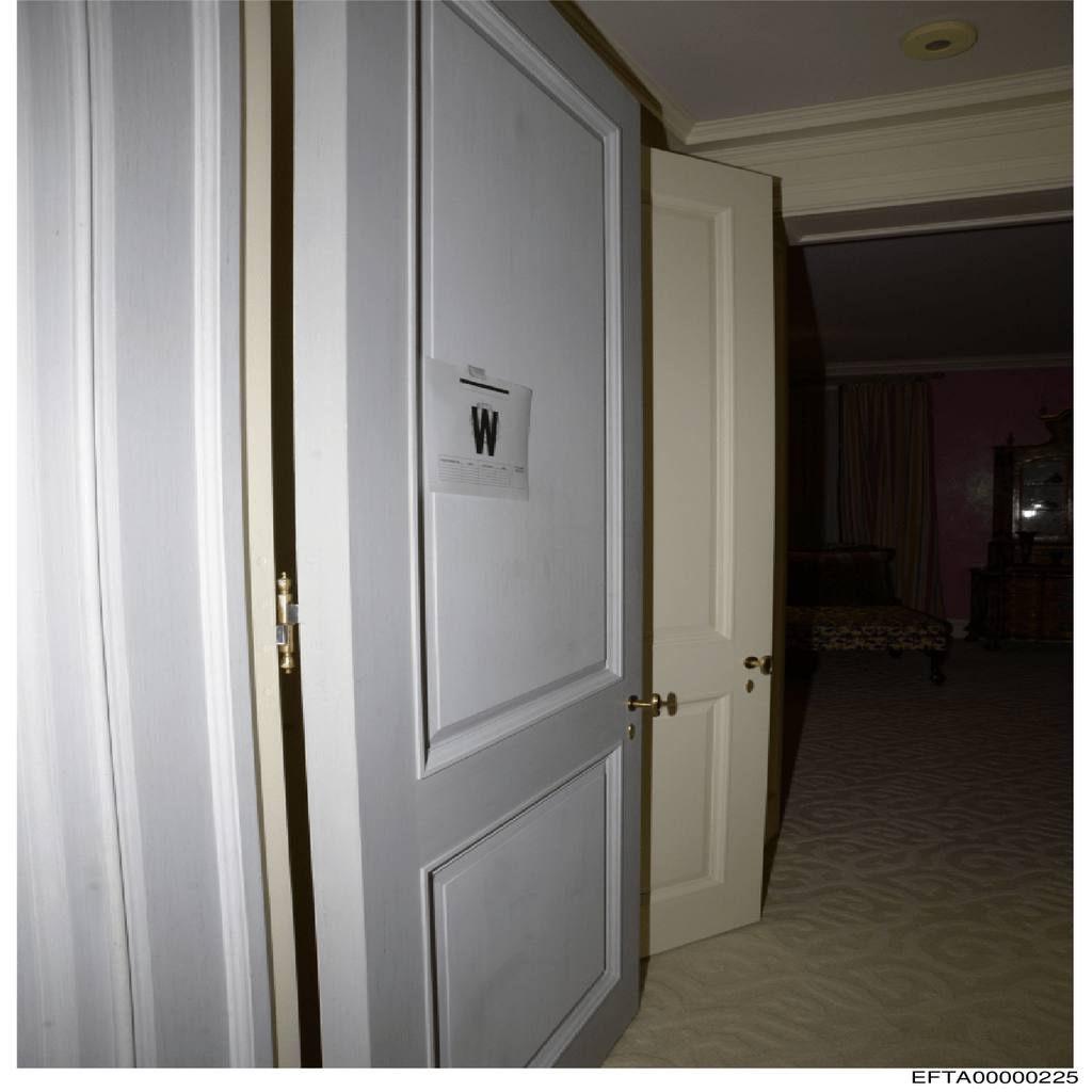 Epstein File EFTA00000225.pdf 2026