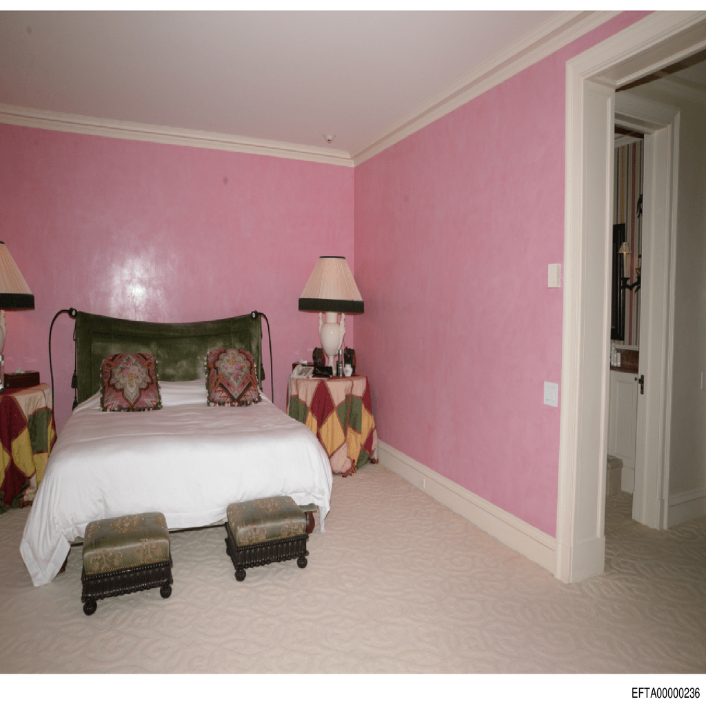 Epstein File EFTA00000236.pdf 2026