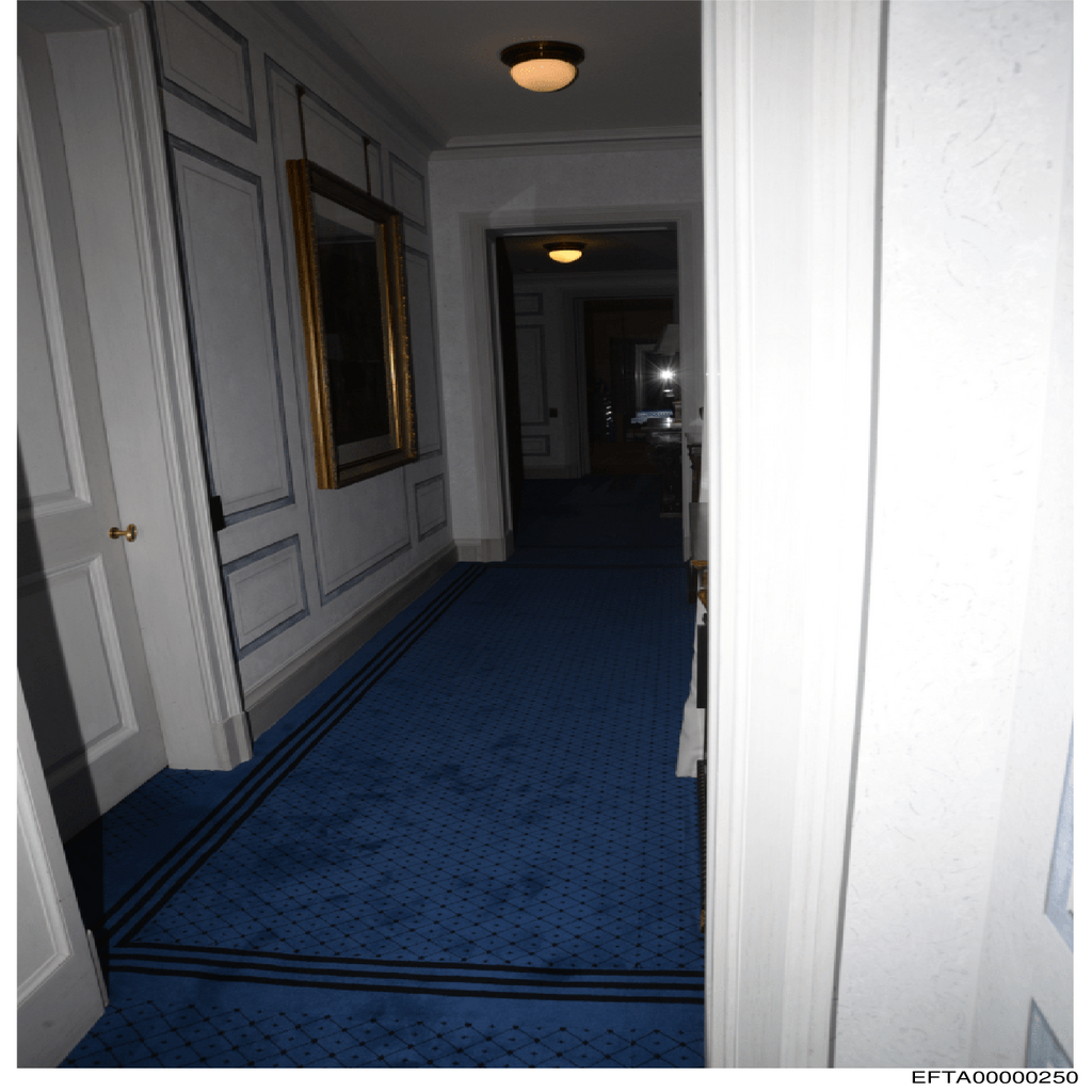 Epstein File EFTA00000250.pdf 2026