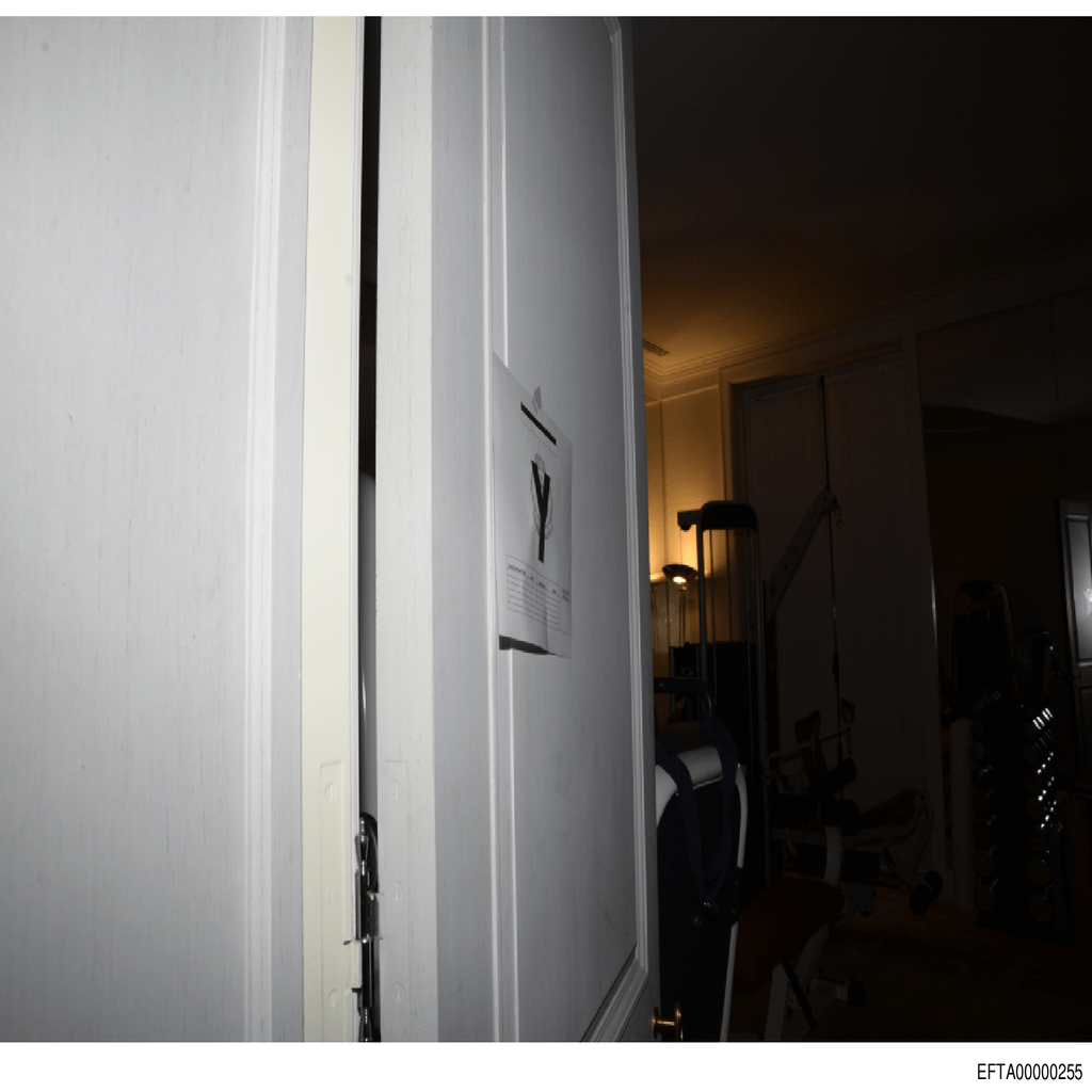 Epstein File EFTA00000255.pdf 2026