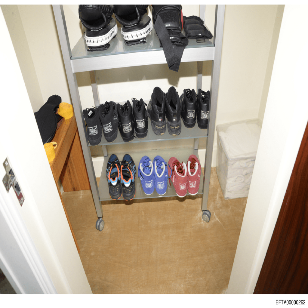 Epstein File EFTA00000262.pdf 2026