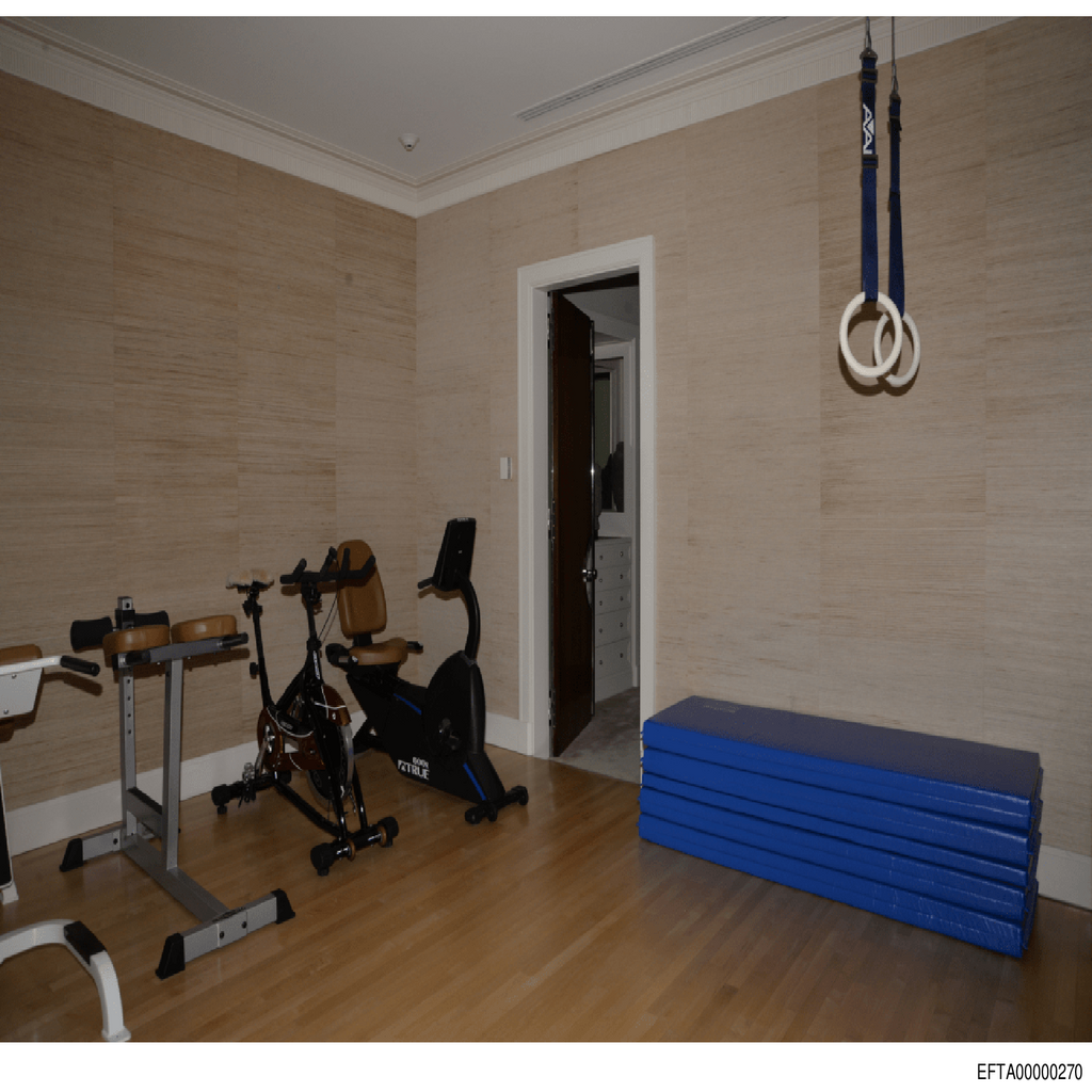 Epstein File EFTA00000270.pdf 2026