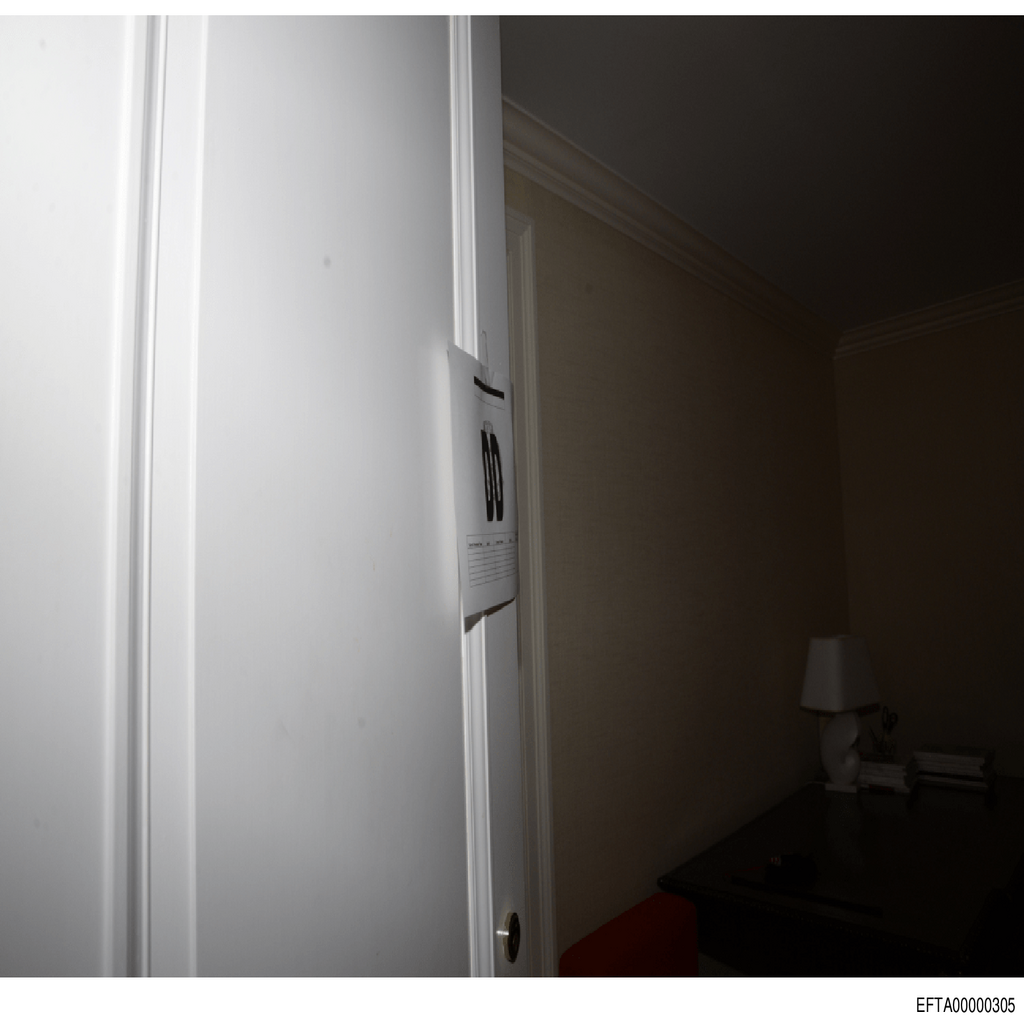 Epstein File EFTA00000305.pdf 2026