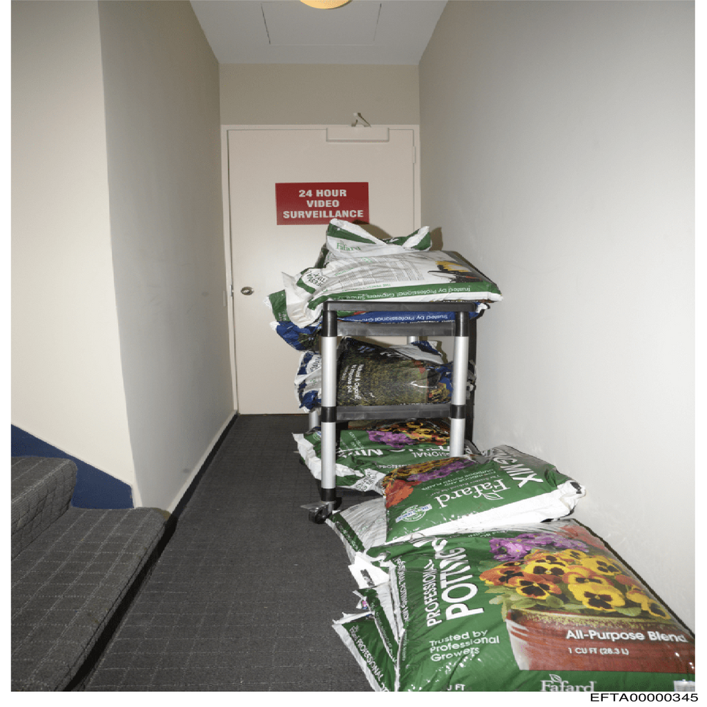 Epstein File EFTA00000345.pdf 2026