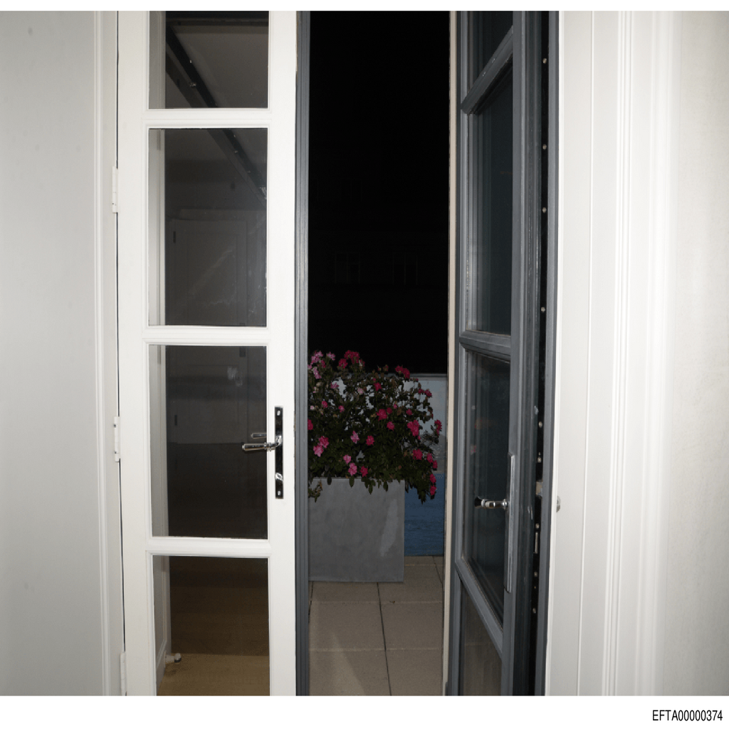 Epstein File EFTA00000374.pdf 2026