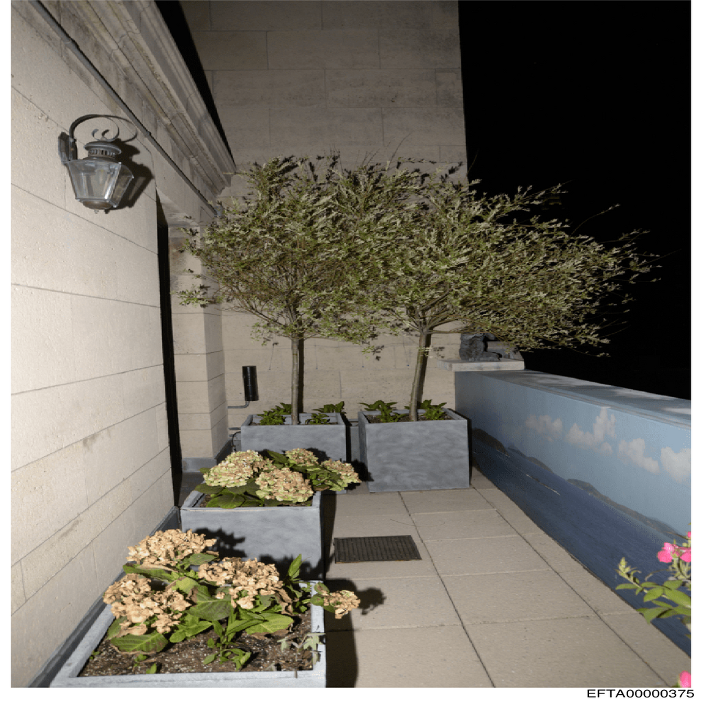 Epstein File EFTA00000375.pdf 2026