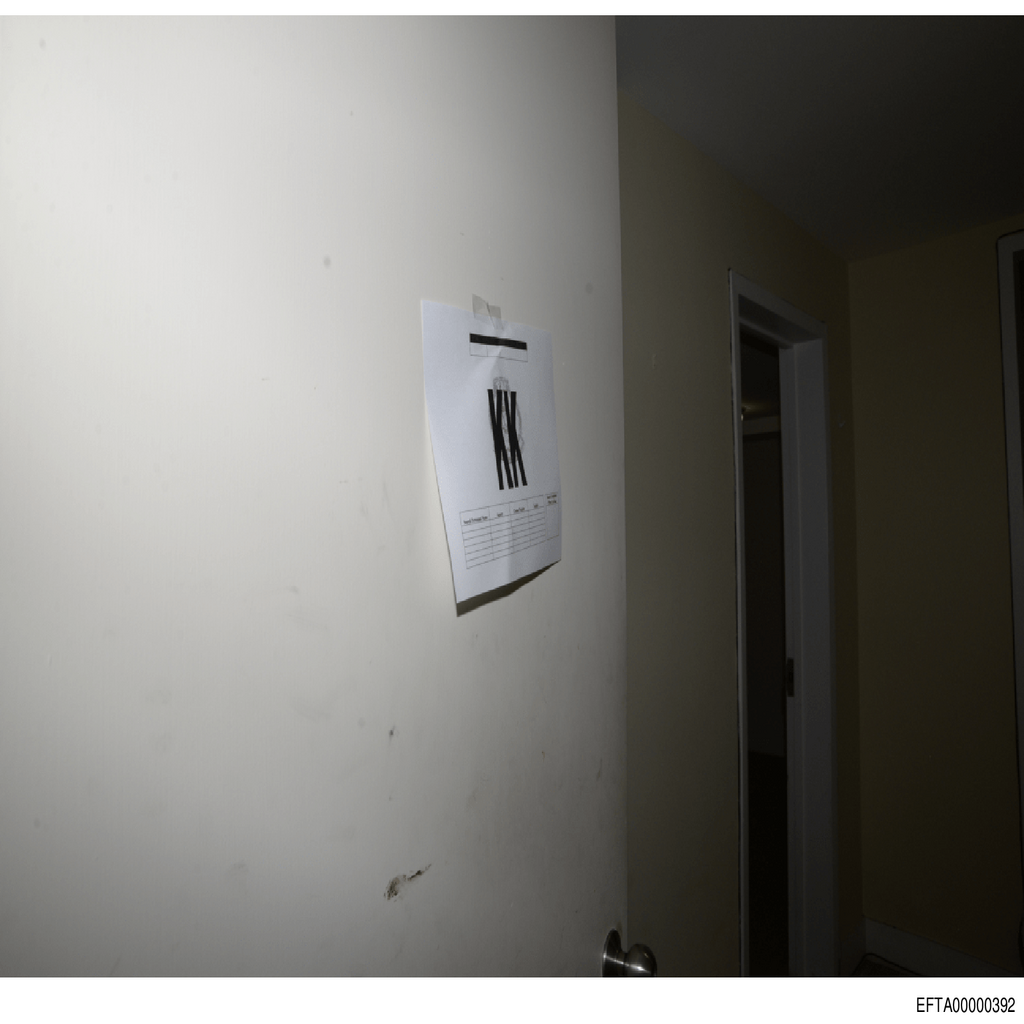 Epstein File EFTA00000392.pdf 2026