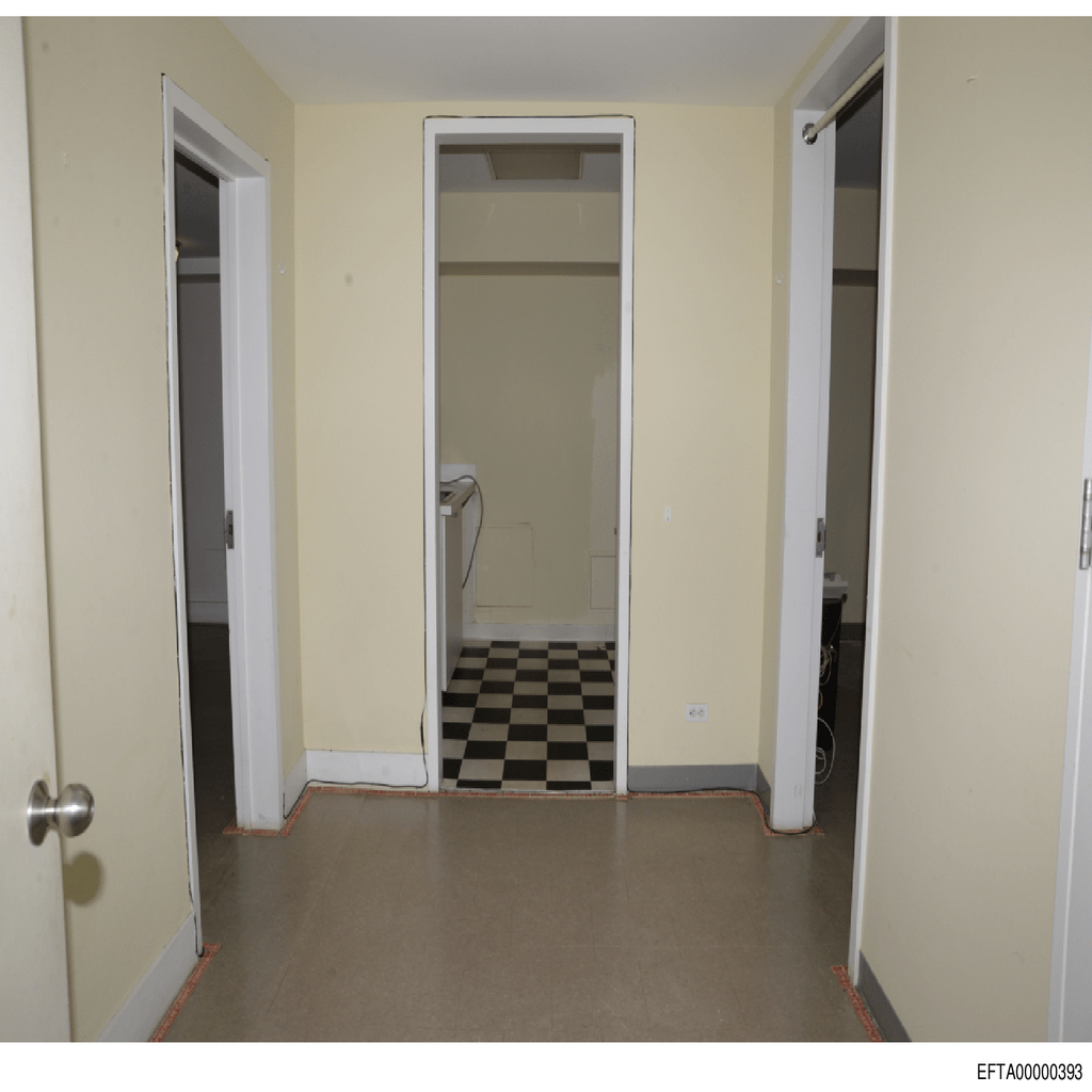 Epstein File EFTA00000393.pdf 2026