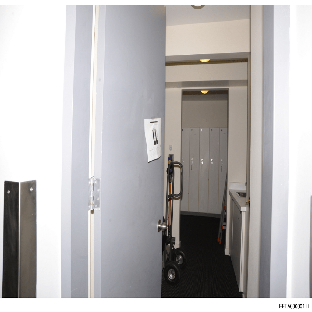 Epstein File EFTA00000411.pdf 2026