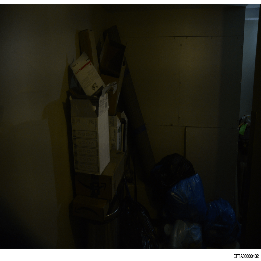 Epstein File EFTA00000432.pdf 2026