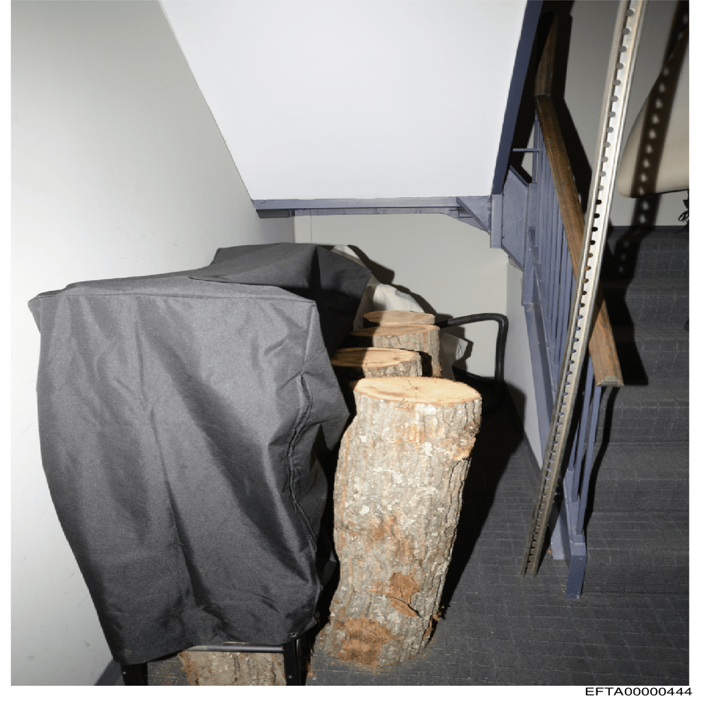 Epstein File EFTA00000444.pdf 2026