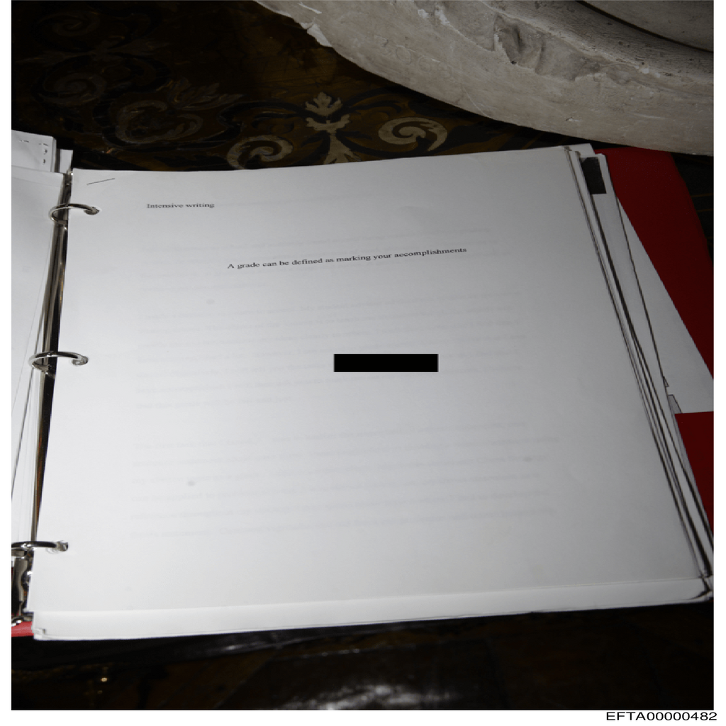 Epstein File EFTA00000482.pdf 2026