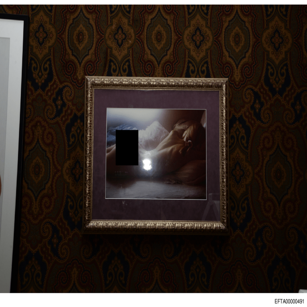 Epstein File EFTA00000491.pdf 2026