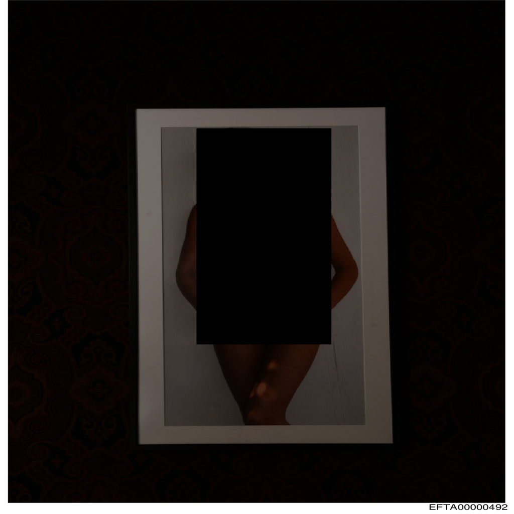 Epstein File EFTA00000492.pdf 2026