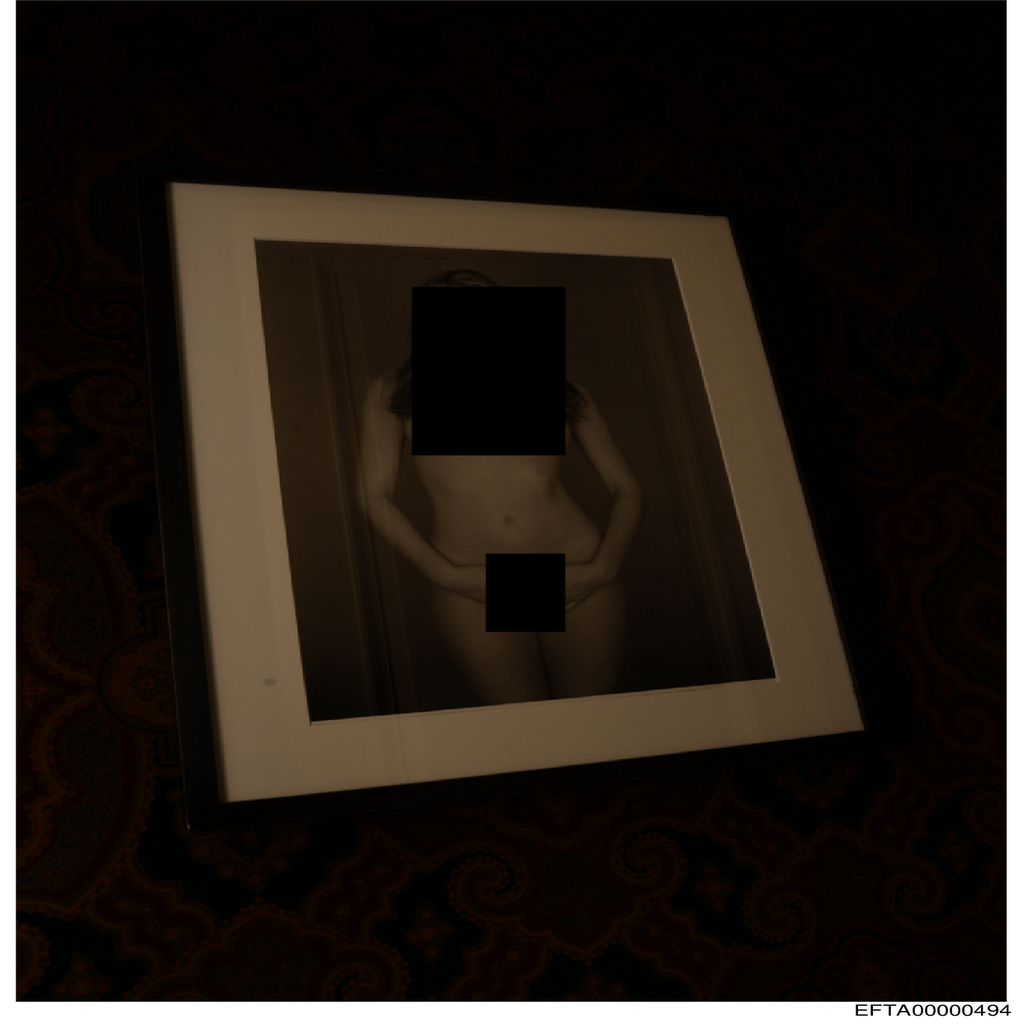 Epstein File EFTA00000494.pdf 2026