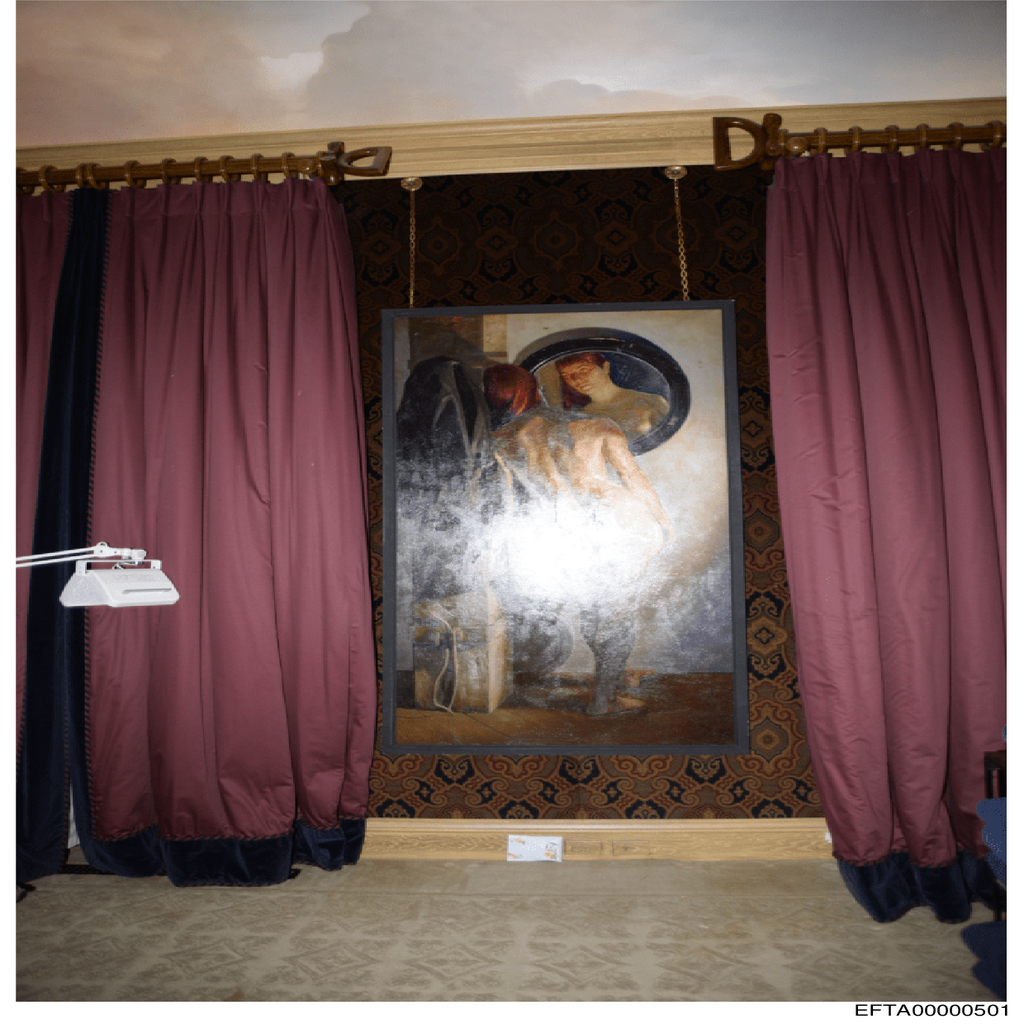 Epstein File EFTA00000501.pdf 2026