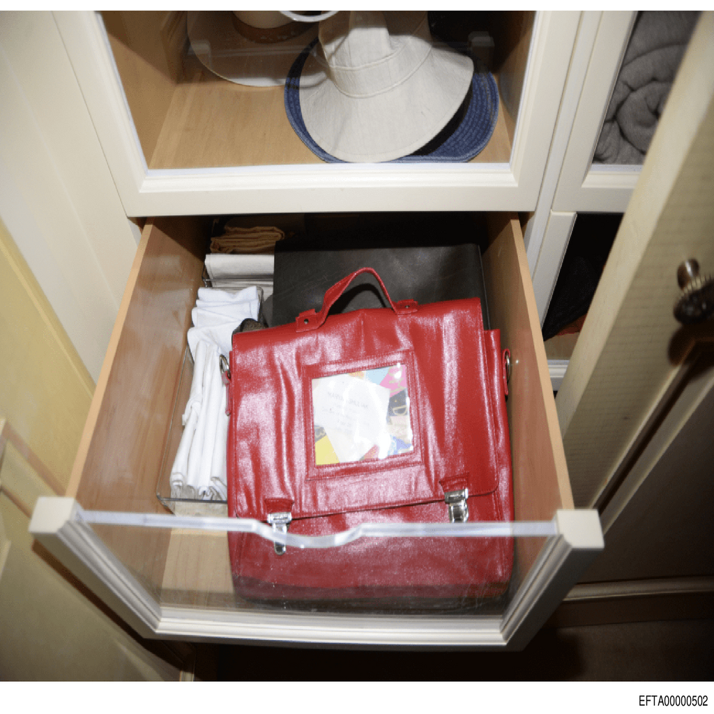 Epstein File EFTA00000502.pdf 2026