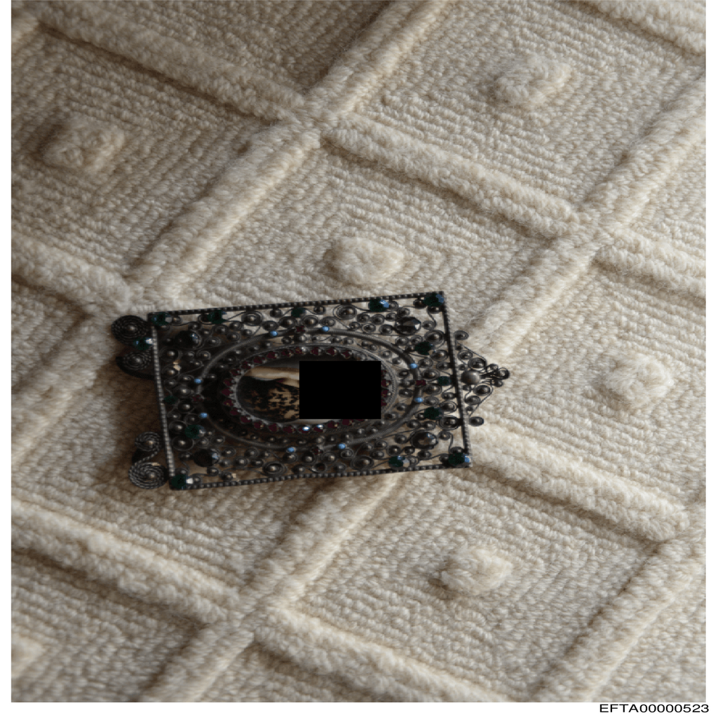 Epstein File EFTA00000523.pdf 2026