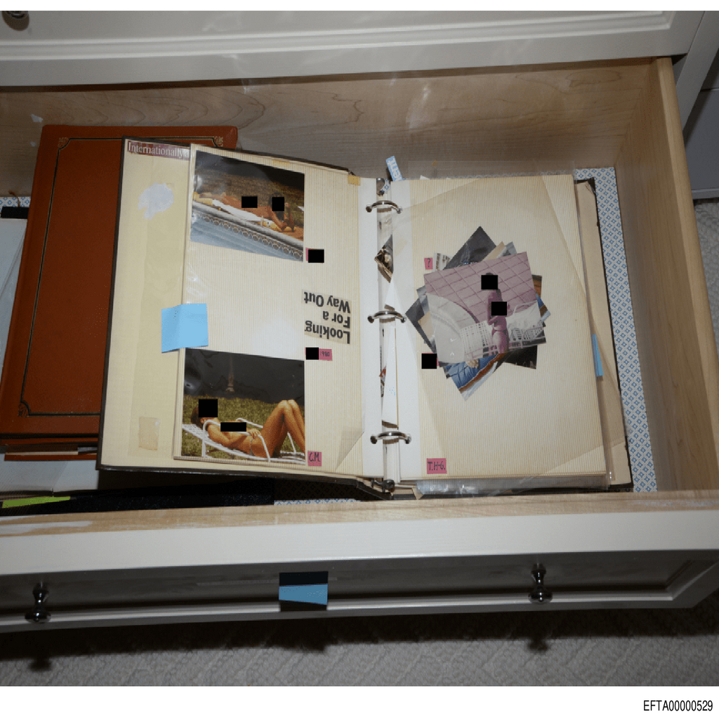 Epstein File EFTA00000529.pdf 2026