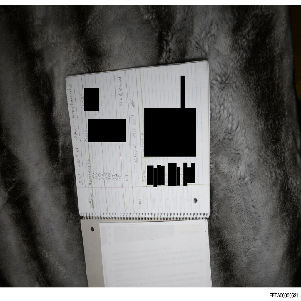 Epstein File EFTA00000531.pdf 2026