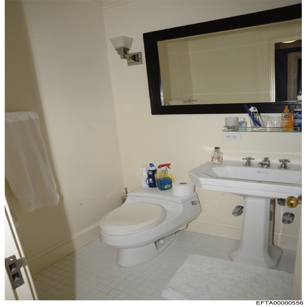 Epstein File EFTA00000556.pdf 2026