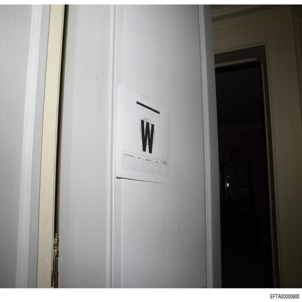 Epstein File EFTA00000600.pdf 2026