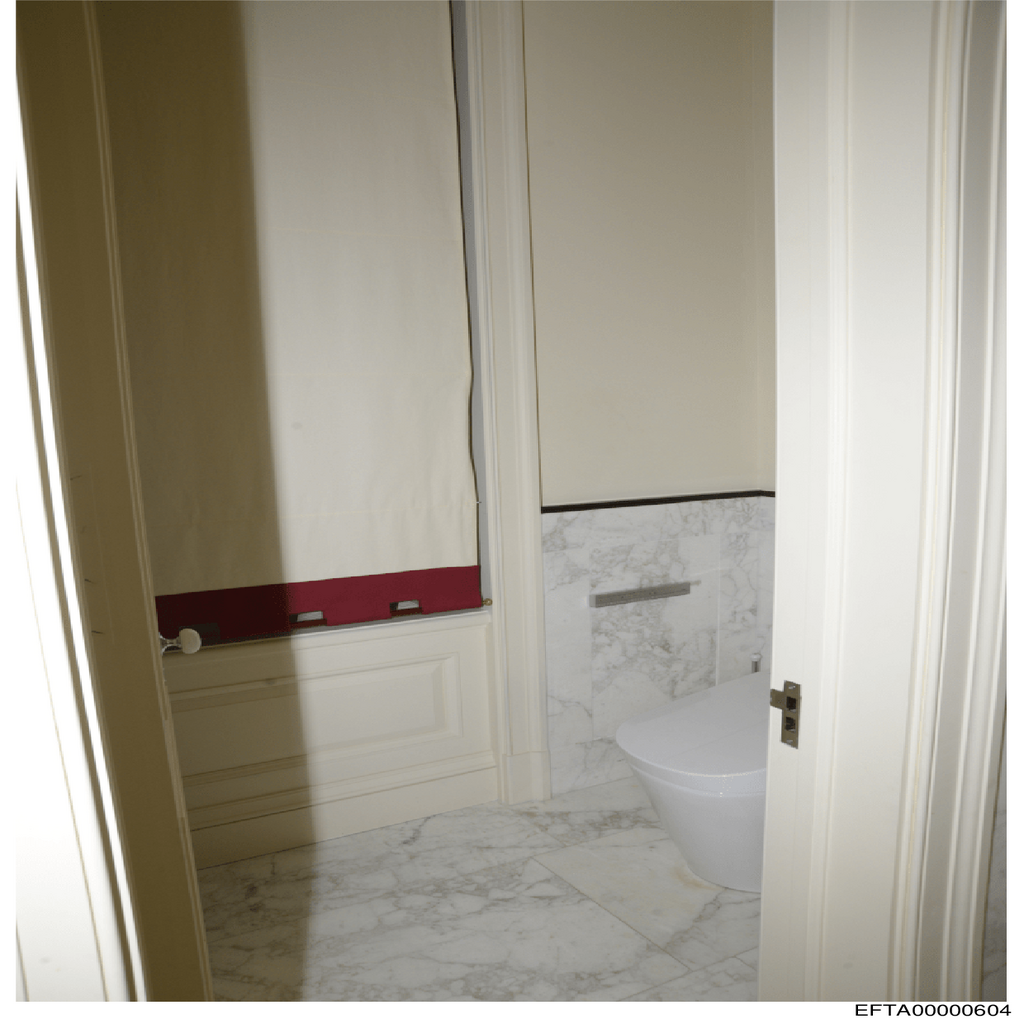 Epstein File EFTA00000604.pdf 2026