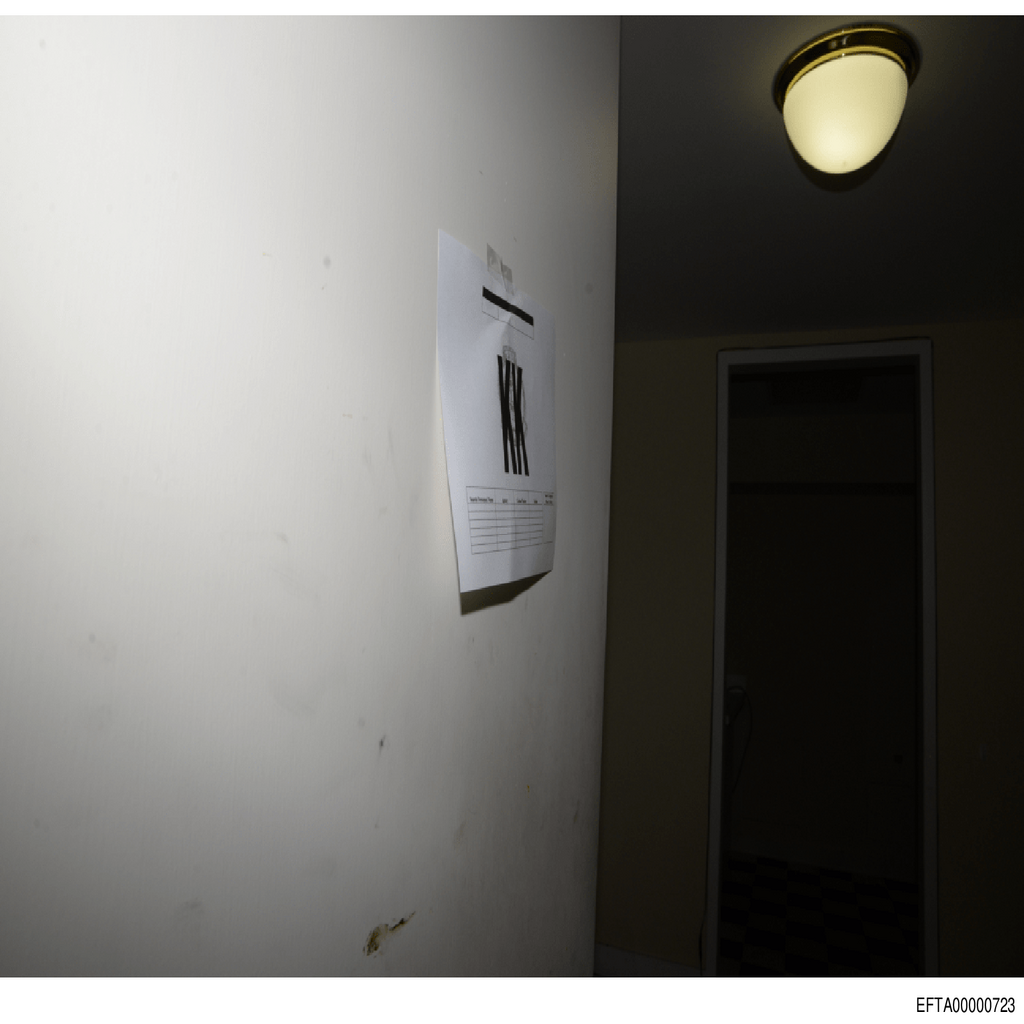 Epstein File EFTA00000723.pdf 2026