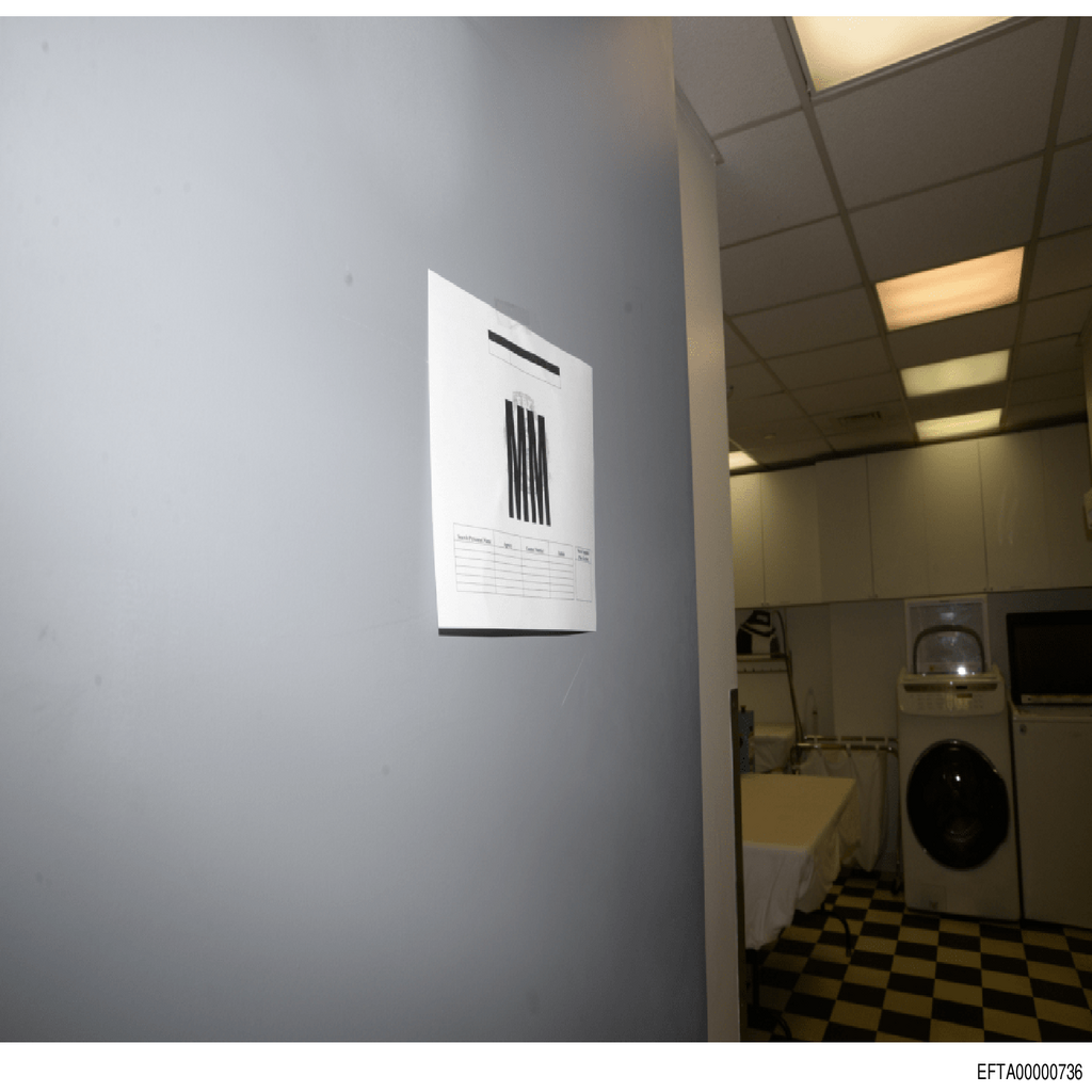 Epstein File EFTA00000736.pdf 2026