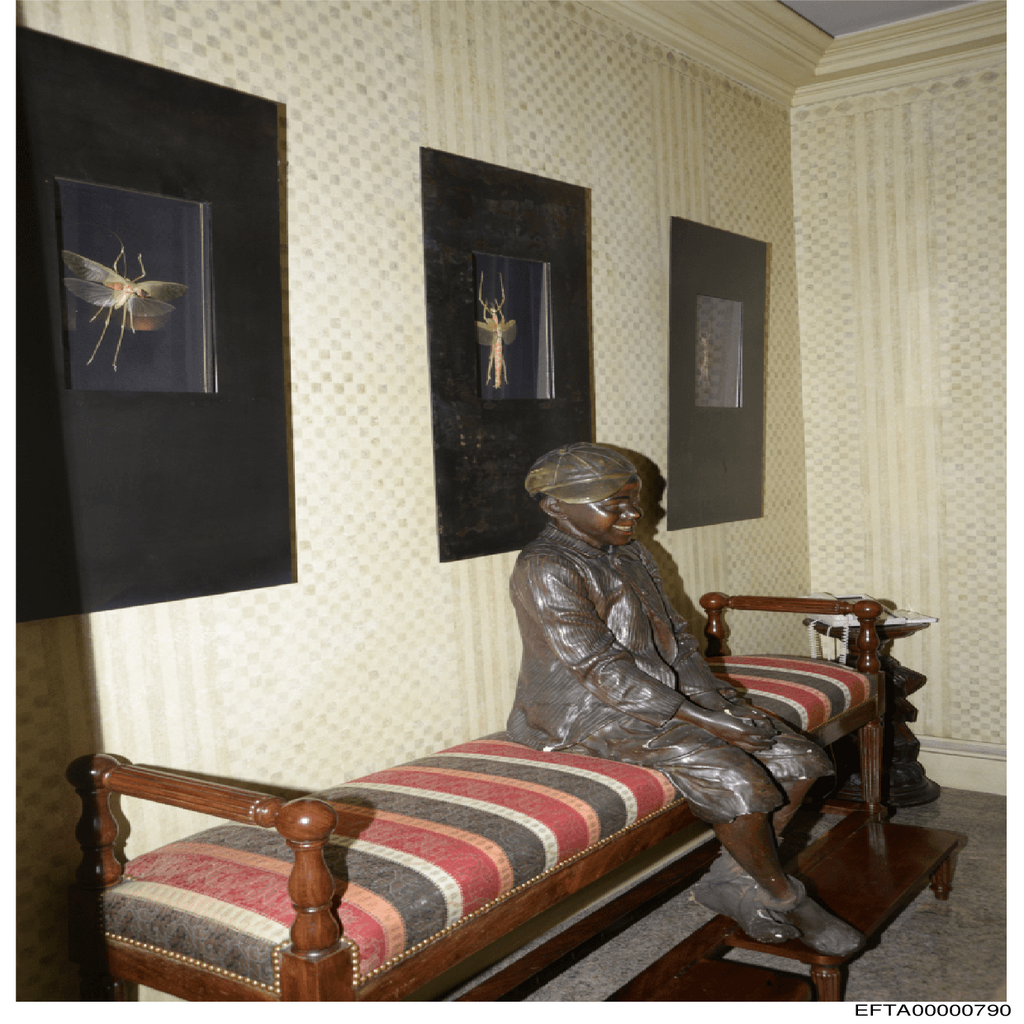 Epstein File EFTA00000790.pdf 2026