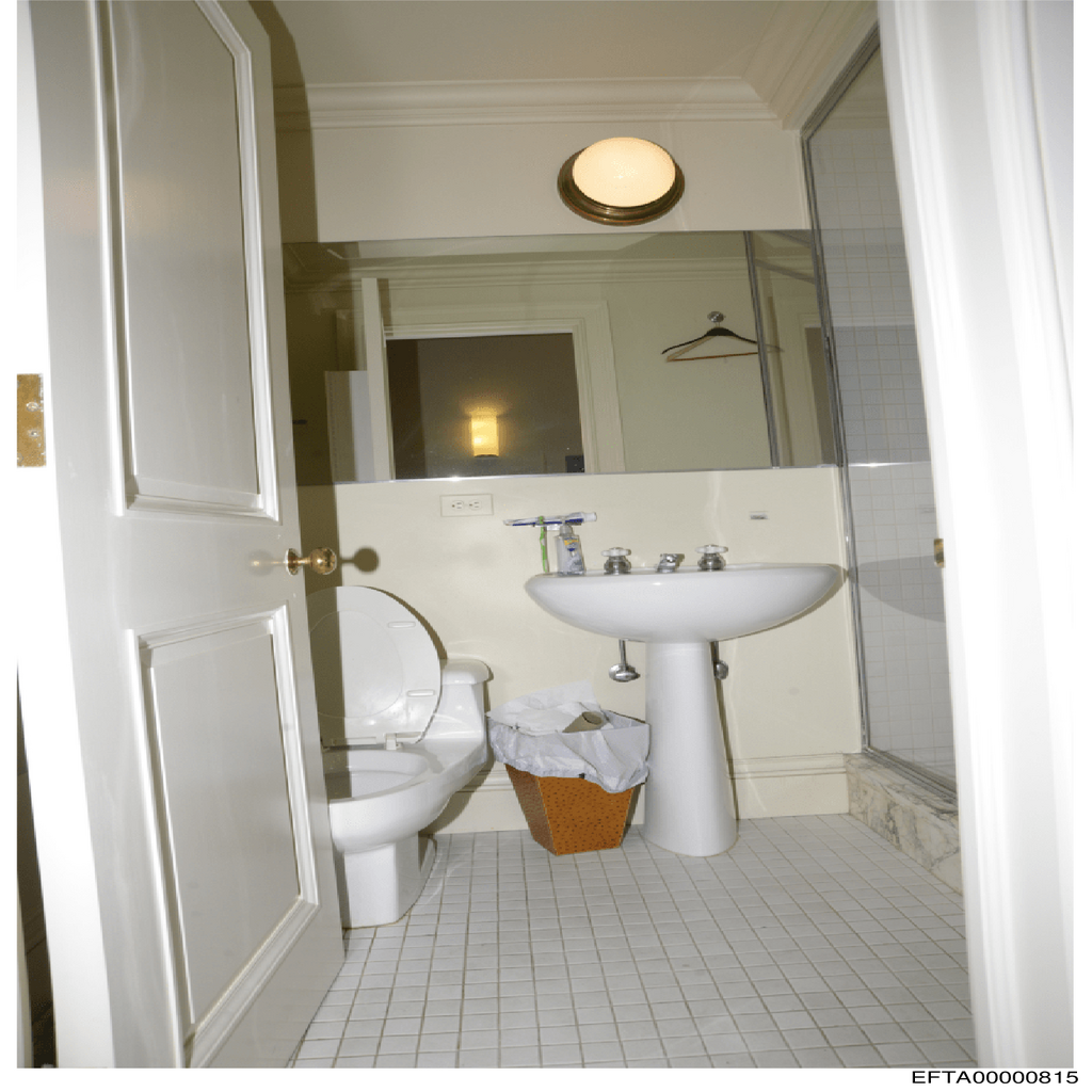 Epstein File EFTA00000815.pdf 2026