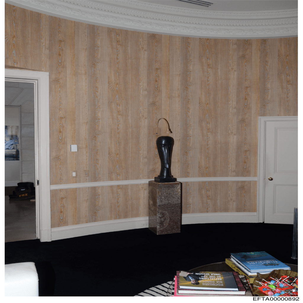 Epstein File EFTA00000892.pdf 2026