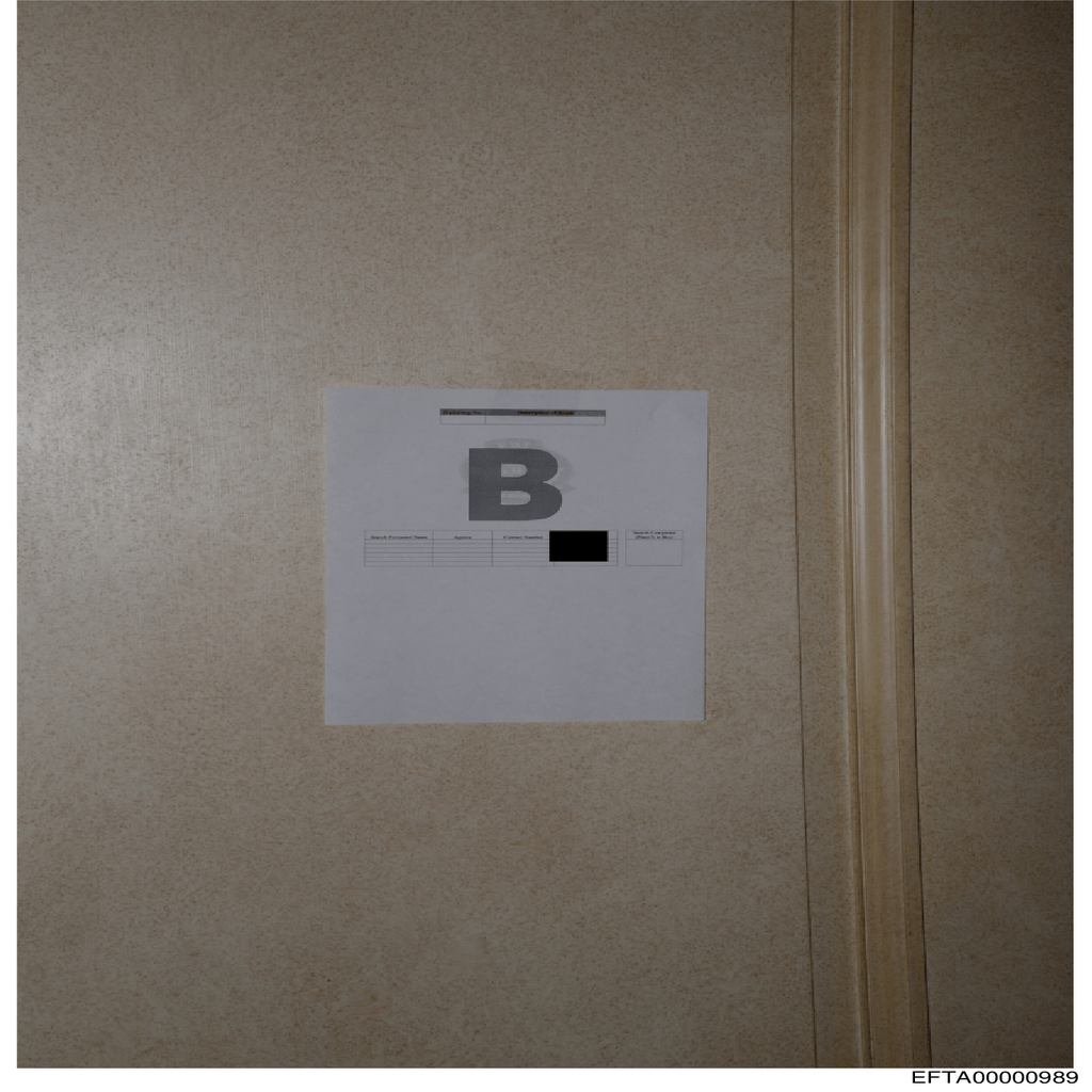 Epstein File EFTA00000989.pdf 2026